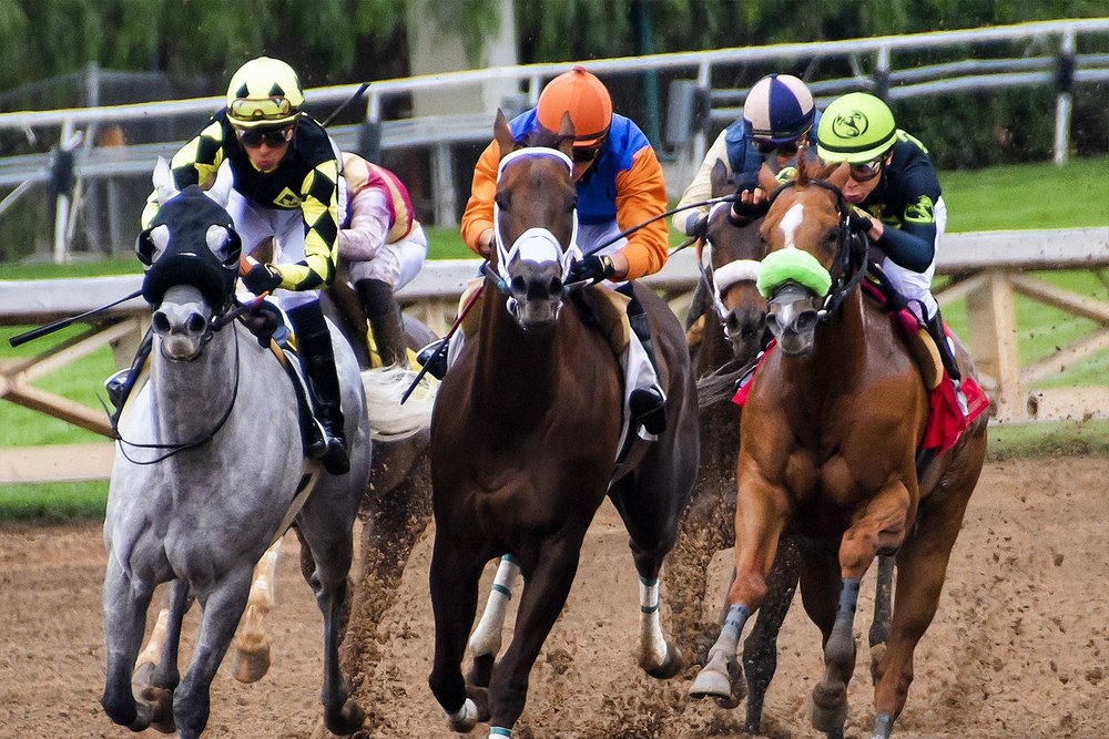 Horse racing tracking