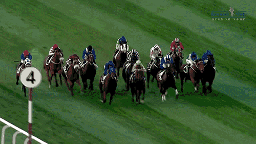 Horse race video example