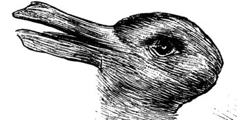 A good old example of an ambiguous image of a rabbit-duck illusion.