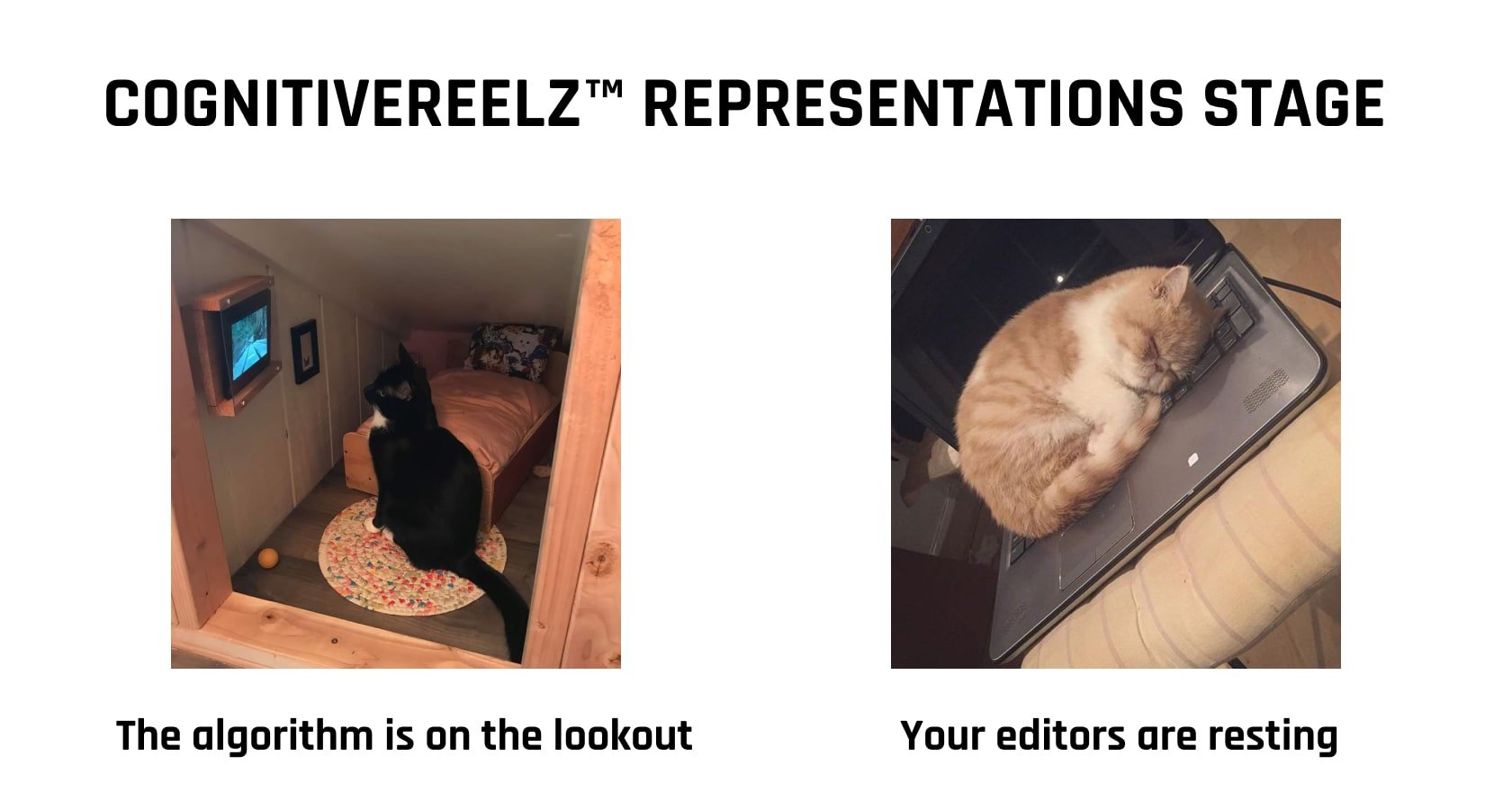 We got the best sports highlight video maker right here CognitiveMill