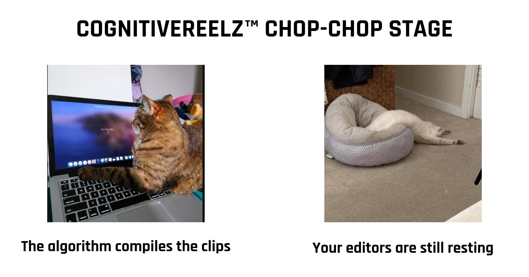 We got the best sports highlight video maker right here CognitiveMill